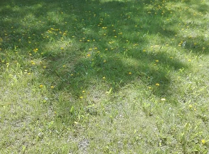 Center Kalamaja * Tallin